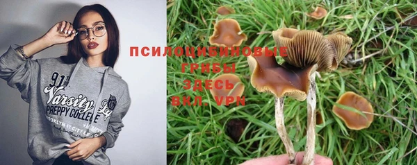 первитин Богородицк